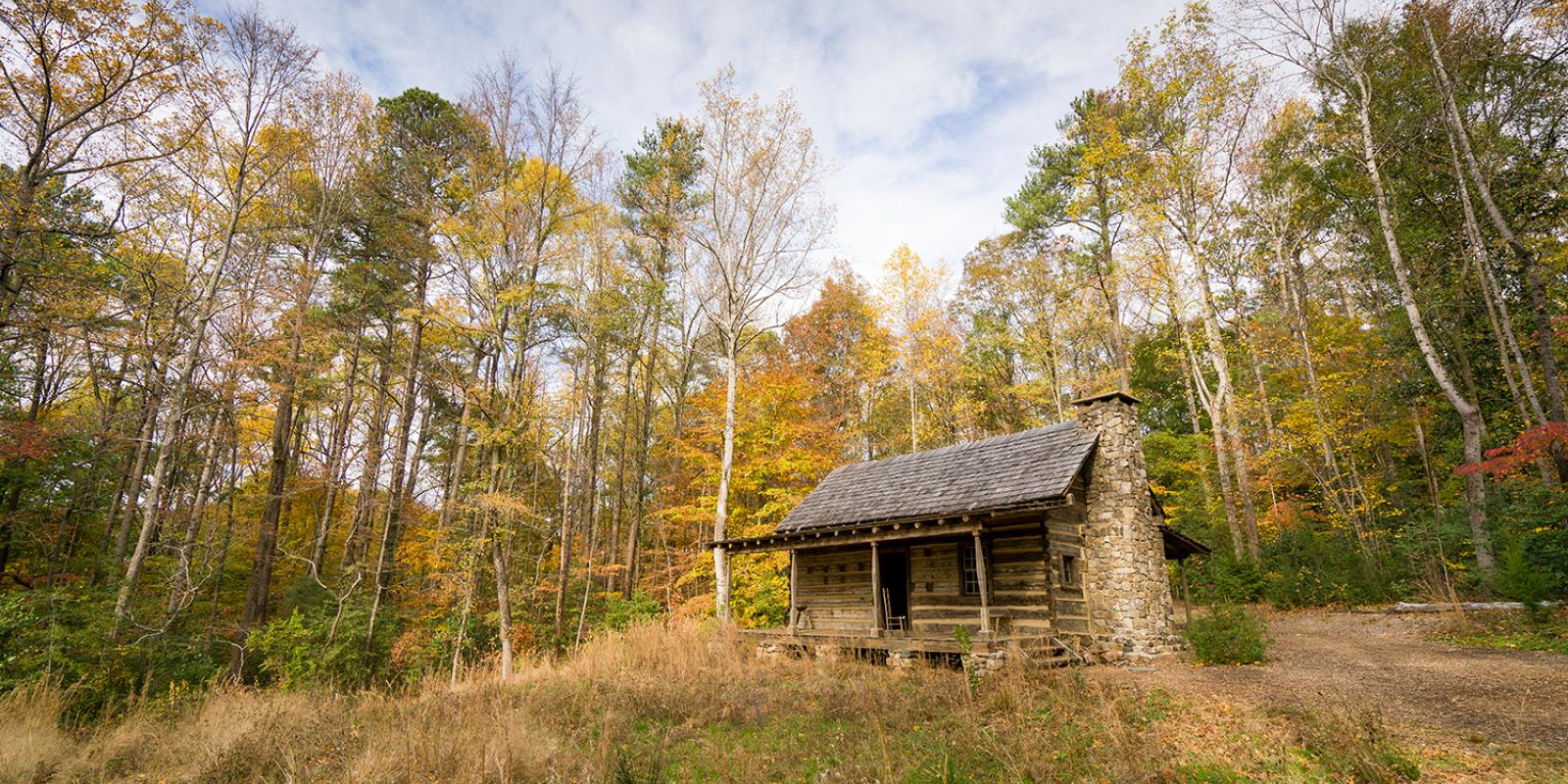Wood Family Cabin