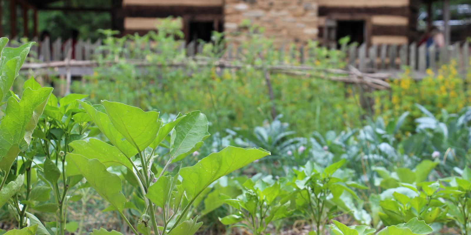Sustainability