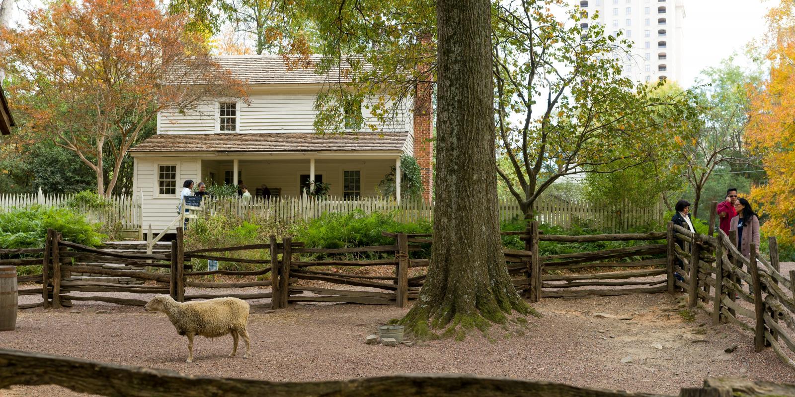 Smith Farm
