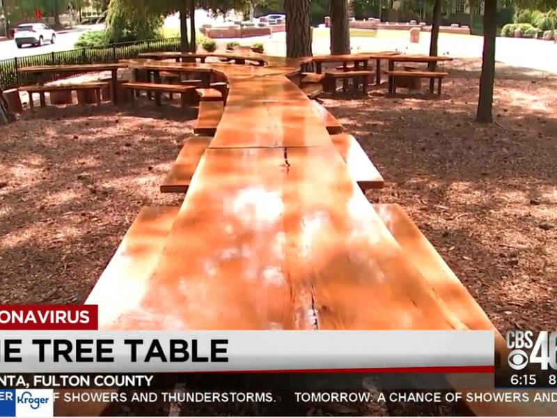 Image of CBS 46: 140-year-old white Oak tree is breathing new life at Atlanta History Center